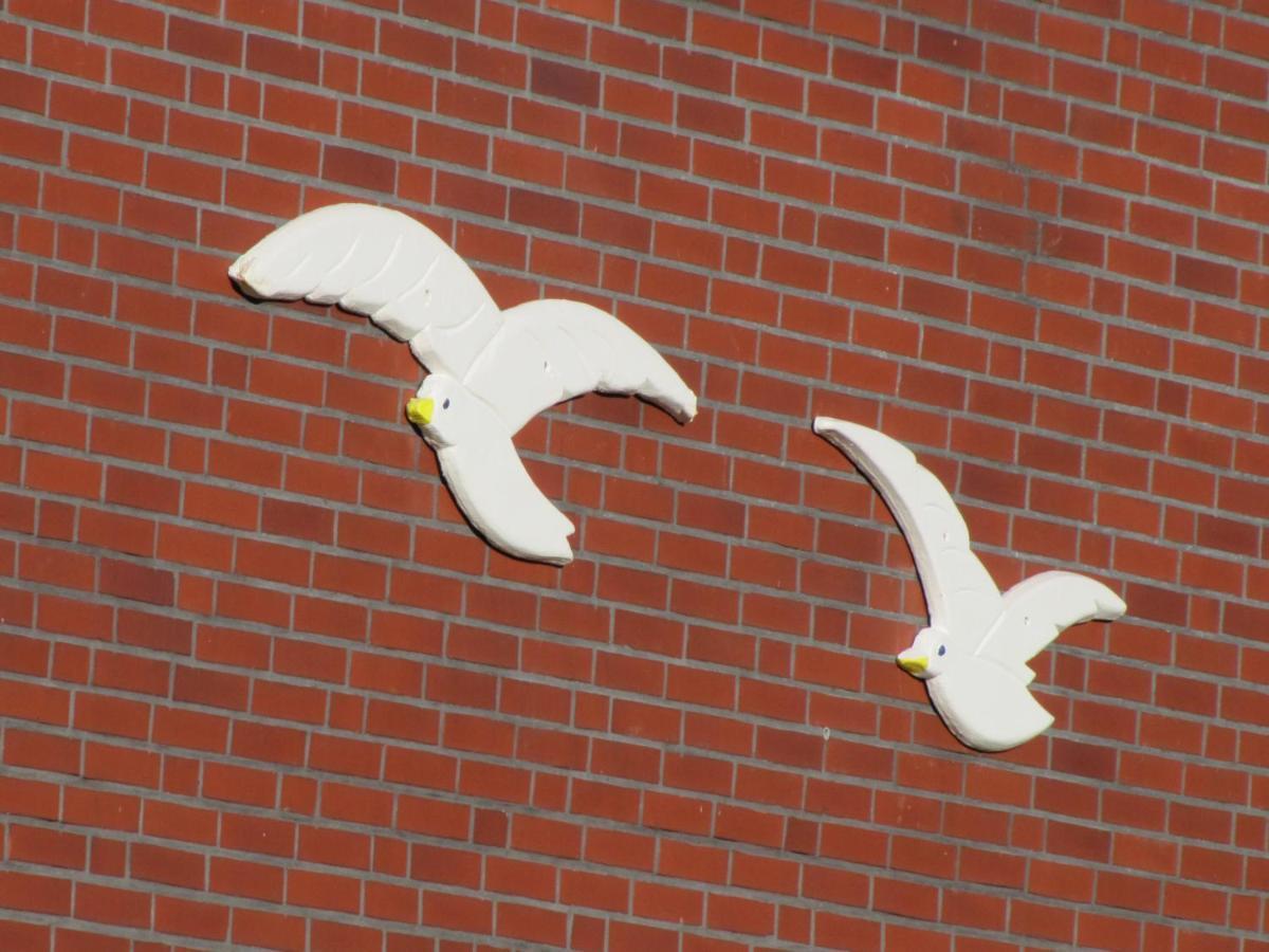 Fewo-Moewenpaar-Norden-Norddeich Exterior photo